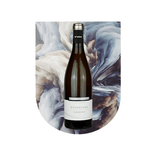 Burgundy wine on sale: Domaine Bruno Colin - White 2019
